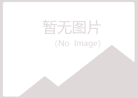 西吉县晓夏能源有限公司